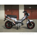 EEC 50cc Chopper